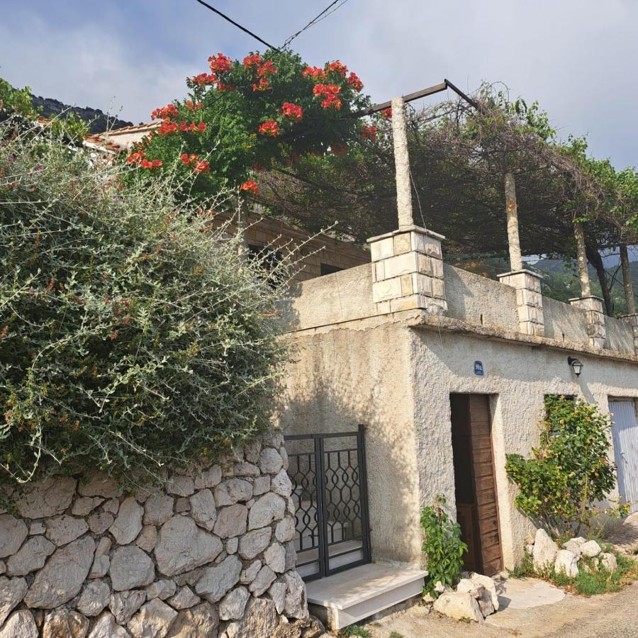 Guest House Tanja Babino Polje Екстер'єр фото